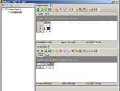 Master Detail Browser