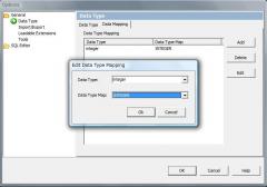 Customizeable Data Type Mapping