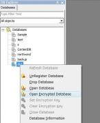 Encryption Database Support